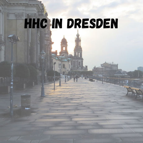 Wo kann ich HHC Blüten kaufen in Dresden?